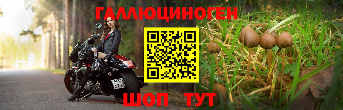 Псилоцибиновые грибы Psilocybine cubensis  Вход с VPN  Сергиев Посад 