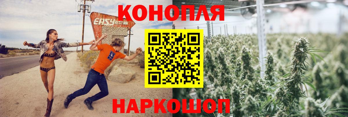 Каннабис Bruce Banner Сергиев Посад
